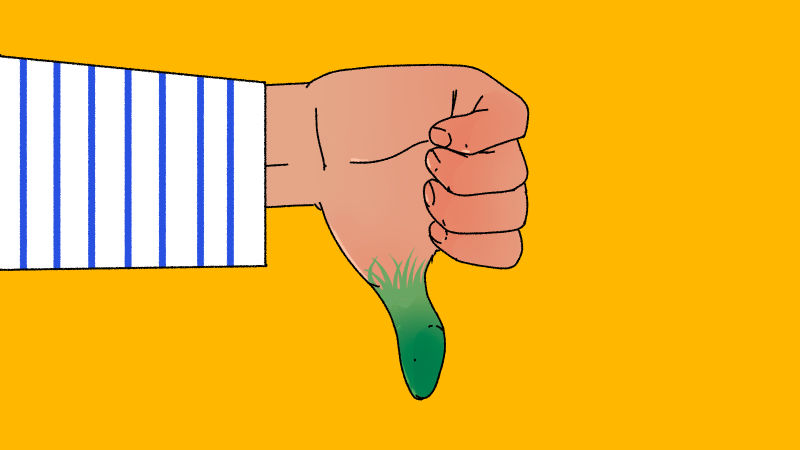 Thumbs down to lawns.